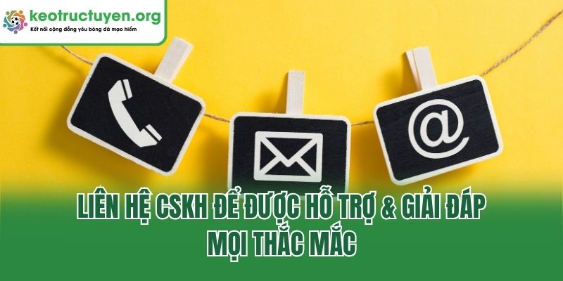 Liên hệ CSKH để được hỗ trợ & giải đáp mọi thắc mắc