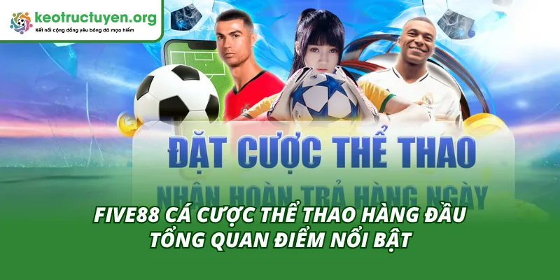 Giới thiệu sơ lược về cá cược thể thao đẳng cấp