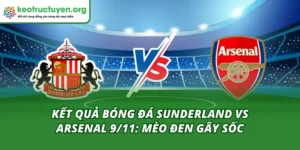 Kết quả bóng đá Sunderland vs Arsenal 9/11