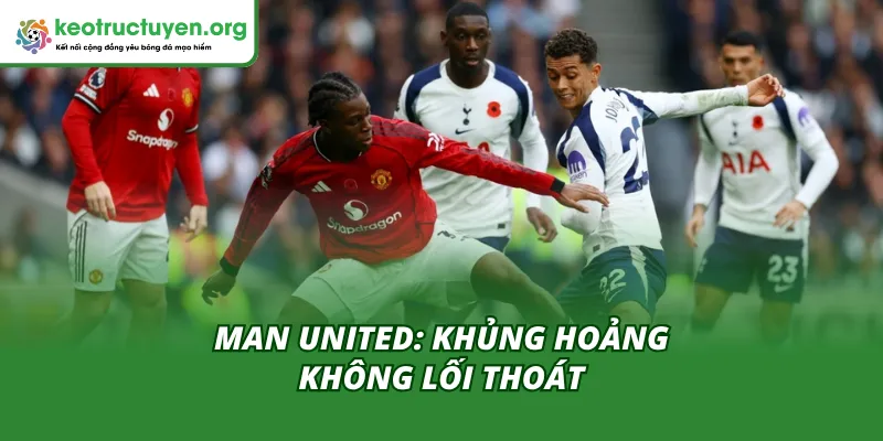 Phân tích đội hình hai đội Tottenham vs Man United theo Kèo Nhà Cái