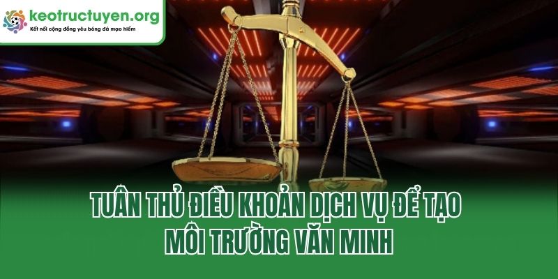 Tuân thủ điều khoản dịch vụ để tạo môi trường văn minh