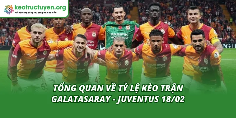 Cái nhìn tổng quan về tỷ lệ kèo trận Galatasaray - Juventus 18/02