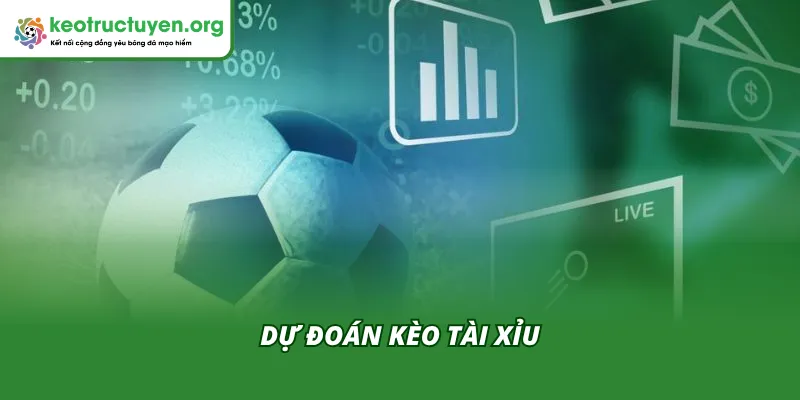 Kèo Nhà Cái dự đoán kèo Tài Xỉu trận Portsmouth VS Ipswich Town là món hời